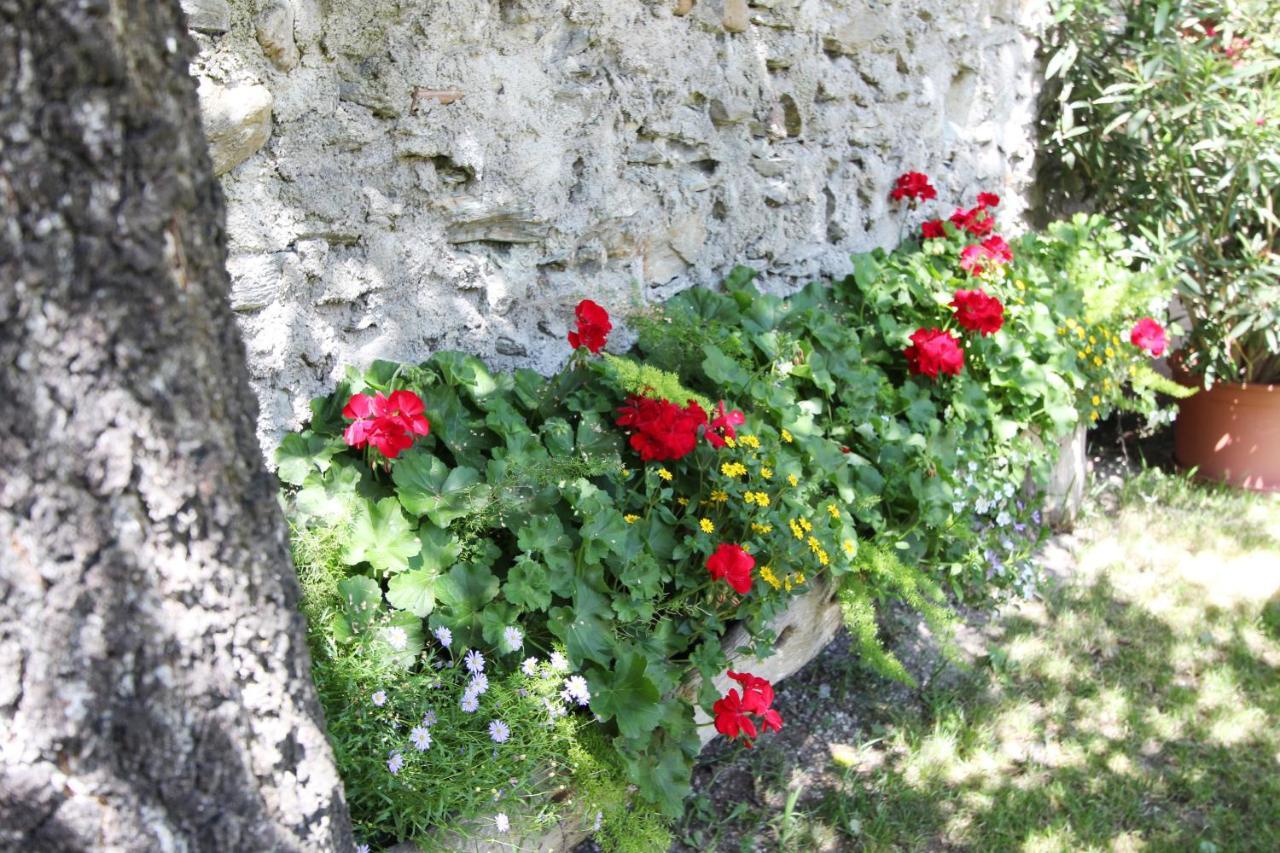 Oberhuberhof Διαμέρισμα Rodengo Εξωτερικό φωτογραφία